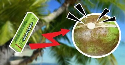 用口香糖真有可能砸开椰子吗？