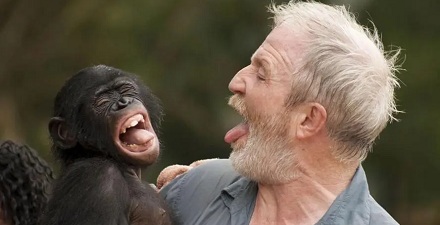 猩猩会模仿同类的行为？