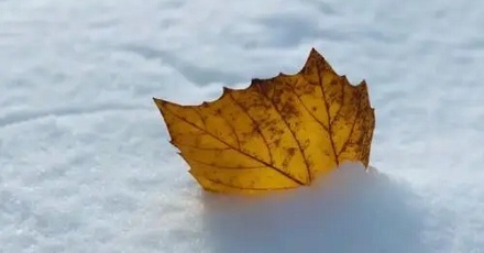 雪居然还分新雪和旧雪？