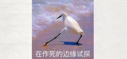 哀牢山进去必死？一座山为啥这么可怕？