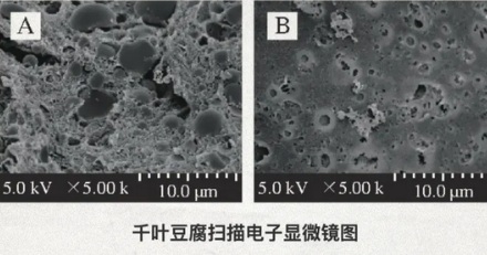 千页豆腐煮完为什么变大十几倍？