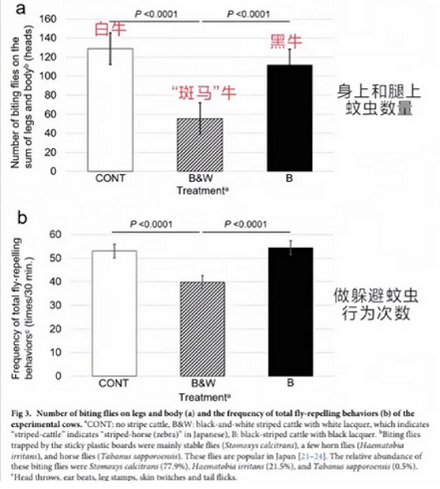 让奶牛 cos 斑马居然能增加产奶量?