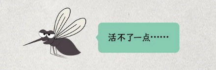 为什么冰岛没有蚊子?