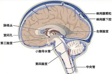 为什么尝到鼻涕变得甜甜的必须马上去医院？