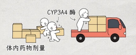 为什么化疗期间不能吃柚子？