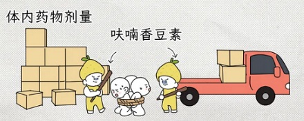 为什么化疗期间不能吃柚子？