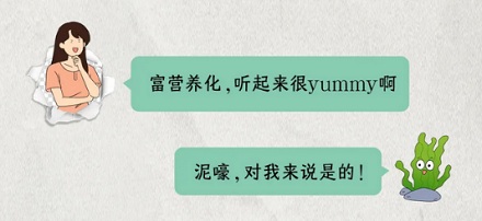 为什么玄武湖每晚都要加水？