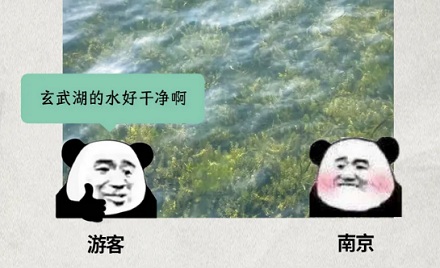 为什么玄武湖每晚都要加水？