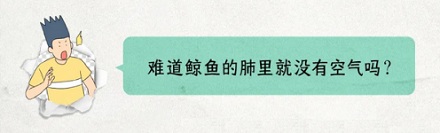为啥肉做的鲸能轻松下潜 2000 米,钢铁之躯的潜艇却不行?
