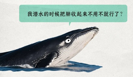 为啥肉做的鲸能轻松下潜 2000 米,钢铁之躯的潜艇却不行?