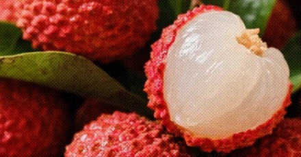 荔枝那么甜,为什么吃了还会低血糖?
