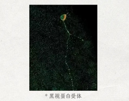 老楼房的蓝色玻璃窗,为什么会让人觉得害怕?