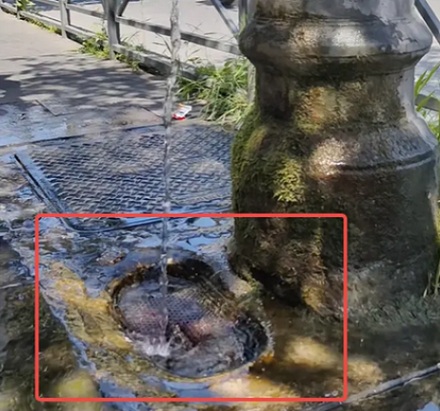 为什么罗马街头随处可见的水龙头都一直开着?
