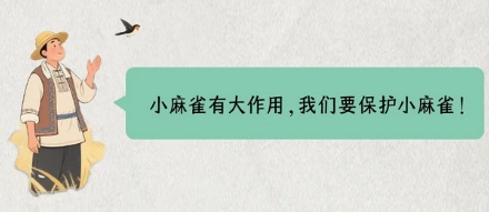 为什么麻雀没有灭绝风险，却还是国家保护动物？