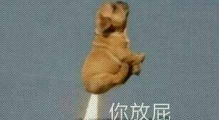明明成分一样,为什么洗澡时候放的屁就特别臭?