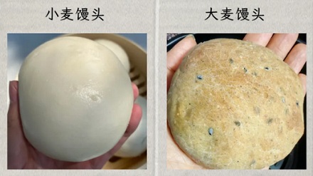 为什么欧洲人爱种大麦,中国人爱种小麦?