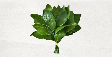 为啥柚子叶在广东被认为可以去晦气？