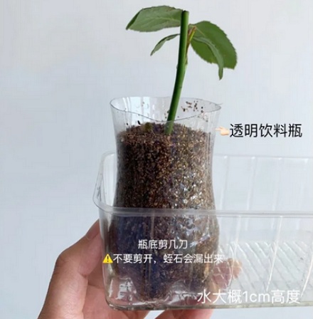 养蜘蛛用的盒子为什么叫「小号人渣盒」?