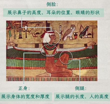 为什么古埃及壁画上的人像都是侧脸正身的？
