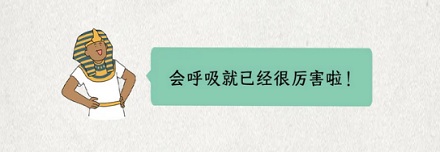 为什么古埃及的很多雕像都没有鼻子？