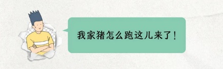 世界上那么多动物，为什么存钱罐偏要做成猪的形状？