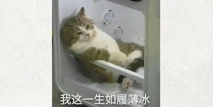 福寿螺明明能致命，为什么名字却是「福寿」？