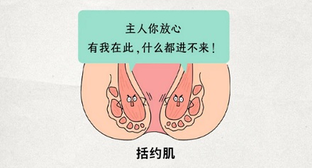 明明手指比大便细，为什么做肛门指检比拉屎疼？