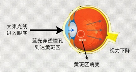 黑暗中看手机对眼睛不好，那在电影院看电影呢？