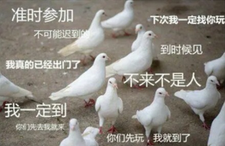 同样是蛋，为什么鸡蛋煮后蛋清是白色的，而鸽子蛋却是半透明的？