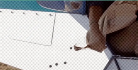 肯尼亚人为什么要在全国到处扔黑色小球？