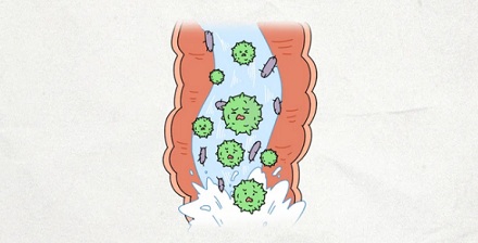 为什么不能一拉肚子立马就吃止泻药？