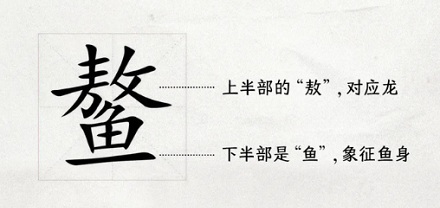 龙族为什么都姓「敖」？