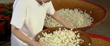 为什么奶茶店都说自己用的是「窨制茉莉」，「窨制」是什么意思？