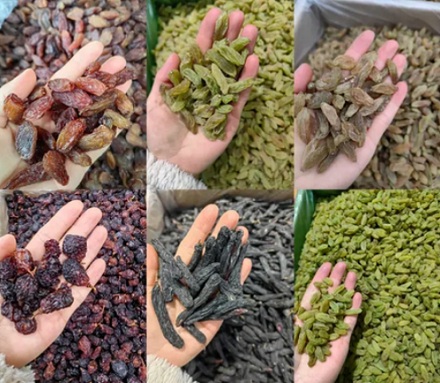 为什么新疆的葡萄干还分「爷爷」「奶奶」？