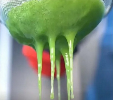 在沙漠里快渴死了，真的能削个仙人掌吃吗？