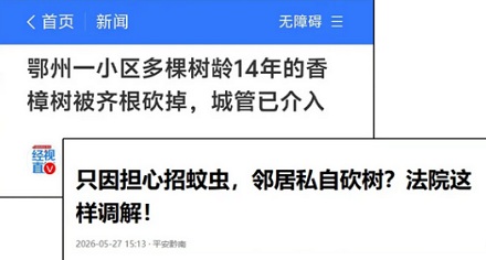 为啥树也要开「死亡证明」？什么样的树才算「死树」？