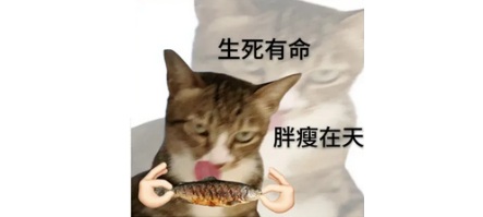 为什么游完泳饿得能吃下两头牛，跑步后却毫无食欲？