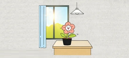 如果让植物一直光合作用，会不会累死？