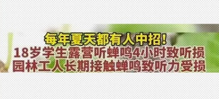 为什么蝉鸣会让人听力受损？
