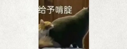 为什么冬天哈气会有白雾，放屁却没有？