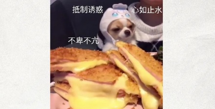 为什么玩 3 分钟俄罗斯方块，可以降低 14% 的食欲？