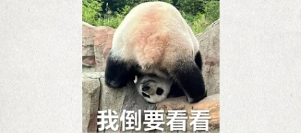 为什么火车座位面对面，高铁却朝前？