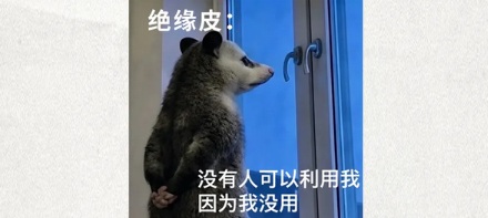 为什么高压线那么危险，却不用绝缘外皮包起来？