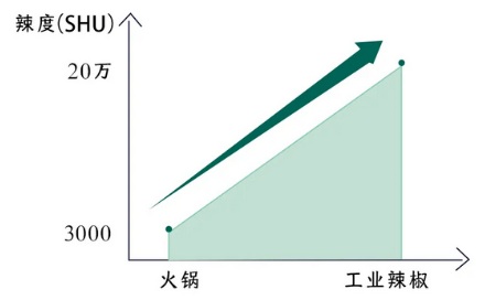 为啥工业辣椒其实是真辣椒？