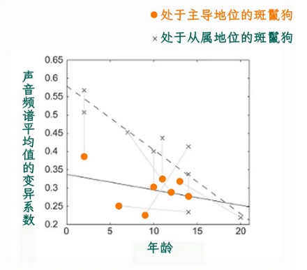 为什么斑鬣狗在进食之前，会先围着猎物咯咯笑？