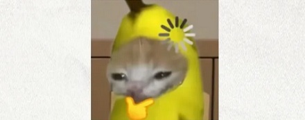 为什么日语里的「剖腹产」叫作「帝王切开」？