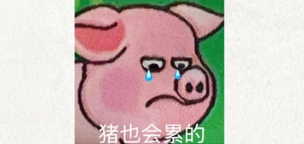 为什么运猪车司机的车技也会影响到猪肉品质？