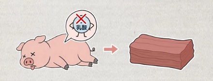 为什么运猪车司机的车技也会影响到猪肉品质？