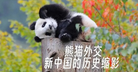 最早的「熊猫外交」是什么时候开始的？