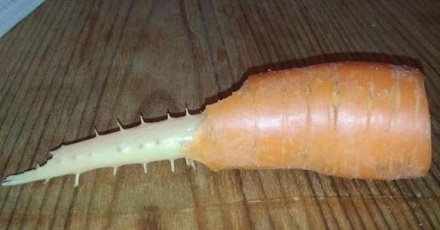 胡萝卜中间的棍子是什么？